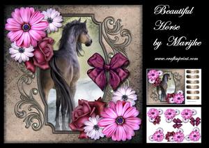 Beautiful Horse Mini Kit
