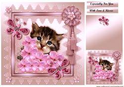 Kitty in Pink