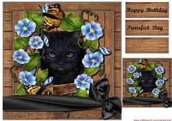 Beautiful Eyes Topper