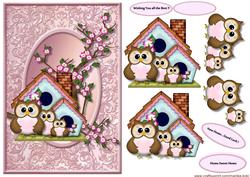 New Home Family Owl