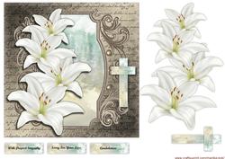Sympathy Lilies