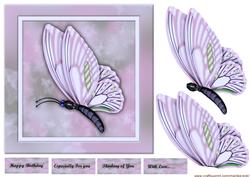 Beautiful Butterfly in Lavender