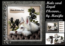 Male Card Loyal Observer Mini Kit