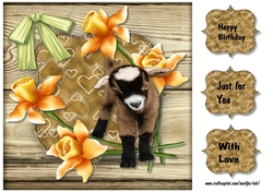 Adorable Alfie Card Topper