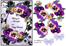 Special Violets