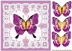 Butterfly Kisses