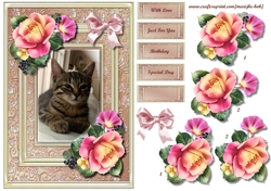 Sweet Kitten & Summer Roses