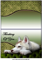 male card Thinking of you...