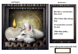 a Dogs Prayer