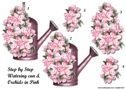 Step By Step Pink orchids & Watering Can