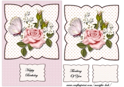 Gorgeous Roses