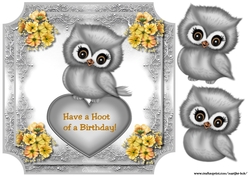 Have a hoot of a Birthday