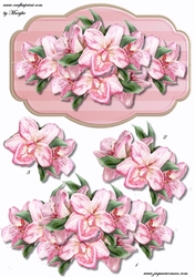 Pink Orchids panel