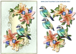 Rainbow Bird & Flowers