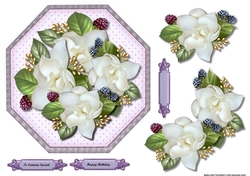 Octagon Topper camelias