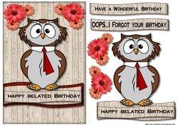 Belated Birthday Owl