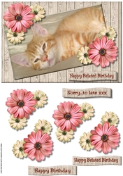 Belated Birthday Cute Kitten