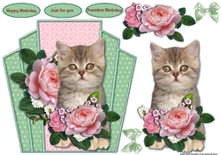 Purrrfect Birthday Cute Kitten & PinkRoses