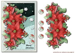  Christmas Poinsettias  Quick Card