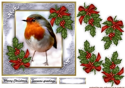 Christmas Robin & berries