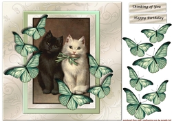 Vintage Kittens & Butterflies