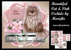 Beautiful Cat & Pink Orchids Mini Kit