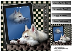 Male card Tablet &  Beautiful Dog
