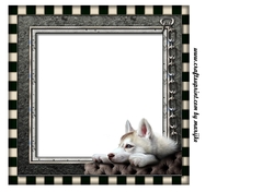 Male card Tablet &  Beautiful Dog INSERT