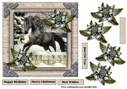 Male Card beautiful Horse & Winter Flowers 1