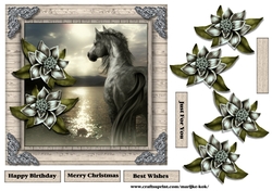 Male Card beautiful Horse & Winter Flowers 2