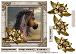 Male Card beautiful Horse & Winter Flowers 3