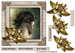 Male Card beautiful Horse & Winter Flowers 4