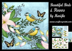 Beauiful Birds & Flowers