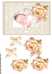 Vintage New baby Girl Roses