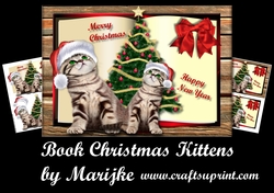 Book Christmas Kitten