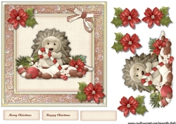 Cute Christmas Hedgehog