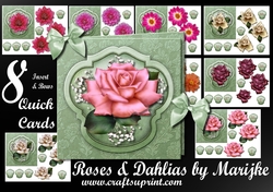 Bumperkit Roses & Dahlias