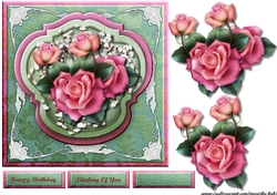 Beautiful Pink Roses