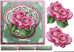 Beautiful Pink Roses 2