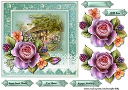 New Home English Roses