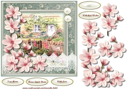 New Home & Magnolias