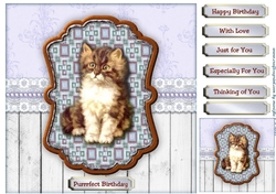 Vintage Kitten in scallop topper 
