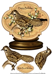 Male card Globe Vintage Birds 1