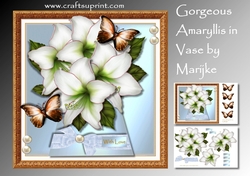 Gorgeous Amaryllis In Vase Mini Kit