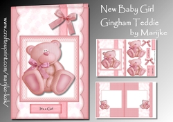 New baby Girl Gingham Teddie Mini Kit