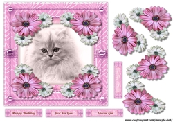 Cute white kitten & Flowers