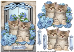 Cute Kittens in Window