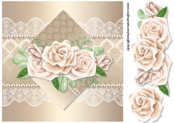 Cream Roses