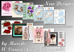 Bumperkit 10 Various  Cards