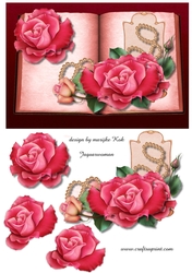 Book Gorgeous Pink Roses